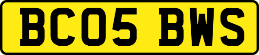 BC05BWS