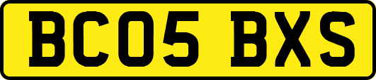 BC05BXS