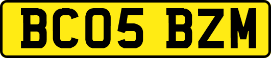 BC05BZM