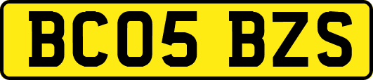 BC05BZS