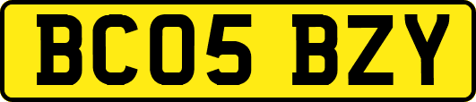 BC05BZY