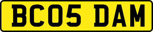 BC05DAM