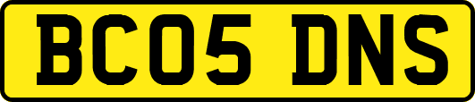 BC05DNS