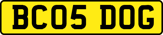 BC05DOG
