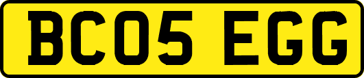 BC05EGG
