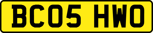 BC05HWO