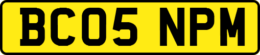 BC05NPM