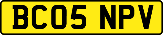 BC05NPV