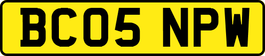 BC05NPW