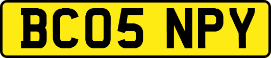 BC05NPY