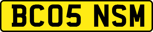 BC05NSM