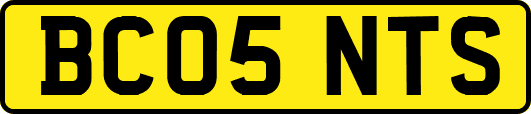 BC05NTS