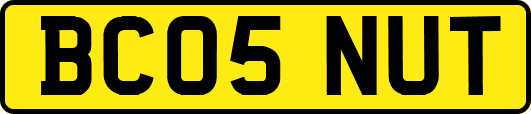 BC05NUT