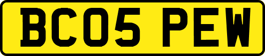 BC05PEW