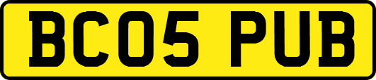 BC05PUB