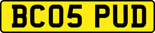 BC05PUD