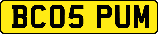 BC05PUM