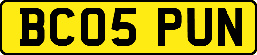 BC05PUN
