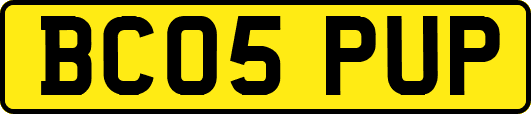 BC05PUP