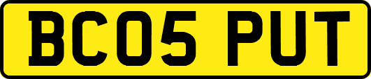 BC05PUT