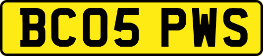 BC05PWS