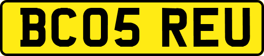 BC05REU