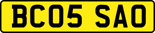 BC05SAO