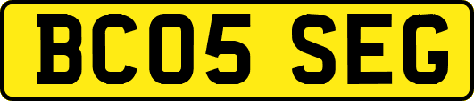 BC05SEG
