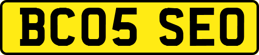 BC05SEO