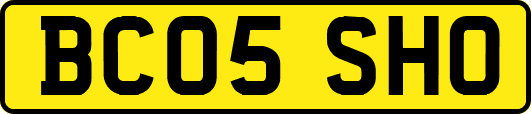 BC05SHO