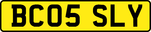 BC05SLY