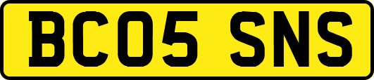BC05SNS