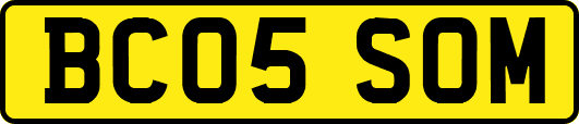 BC05SOM