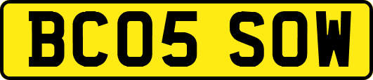 BC05SOW