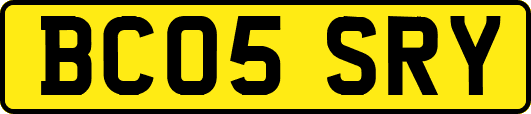 BC05SRY