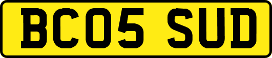 BC05SUD