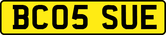 BC05SUE