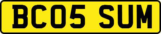 BC05SUM