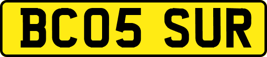 BC05SUR