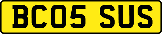 BC05SUS