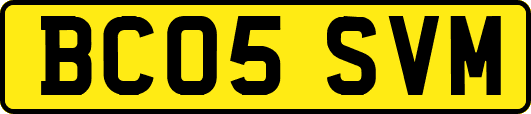 BC05SVM