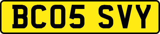 BC05SVY