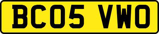 BC05VWO