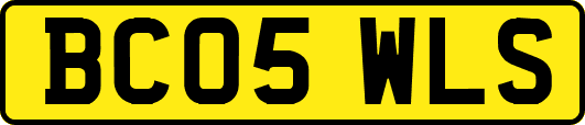 BC05WLS