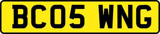 BC05WNG