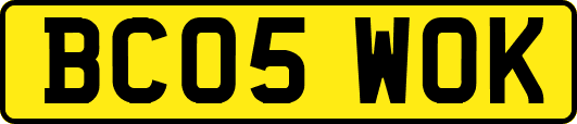 BC05WOK