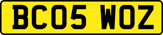 BC05WOZ