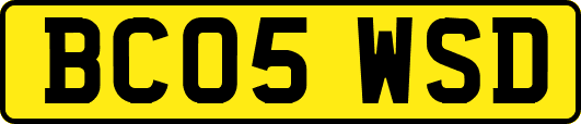 BC05WSD