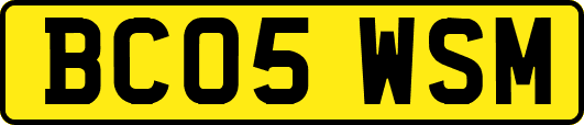 BC05WSM