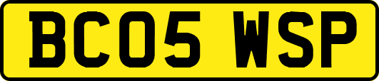 BC05WSP